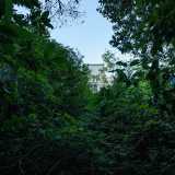 Ci ritroviamo cos� in una specie di fitta boscaglia, dove i rovi di more hanno invaso tutto l�ambiente